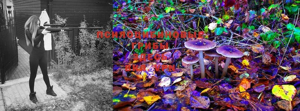 mdma Володарск