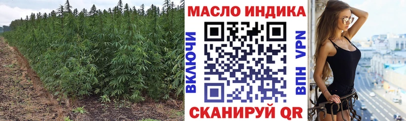 ТГК гашишное масло  Северск 