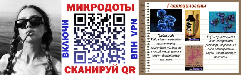 Псилоцибиновые грибы мицелий  дарнет шоп  Северск 